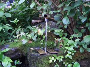 浄光寺の護霊泉