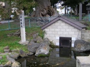 片羽八幡水（かたははちまんすい）