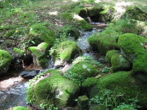 旧稗之底村跡湧水群（きゅうひえのそこむらあとゆうすいぐん）