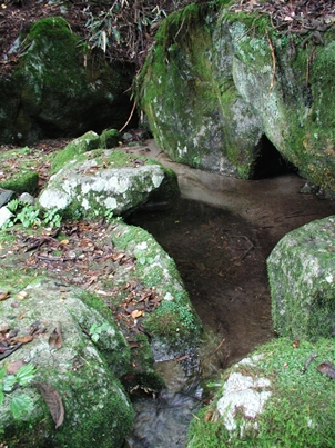 お薬師様の水