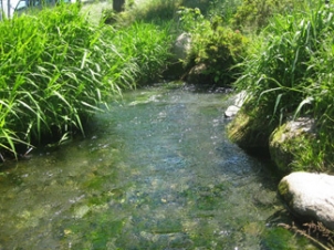 安曇野わさび田湧水群（安曇野市南穂高）